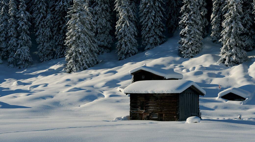 Davos which includes tranquil scenes and snow