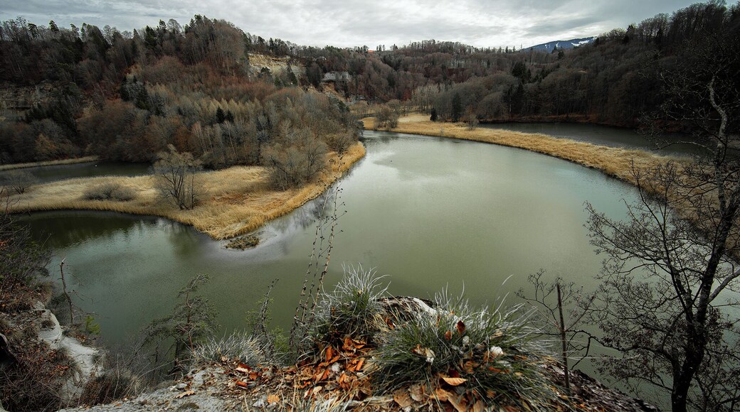 Lac de Pérolles in Fribourg is beautiful all year round!
