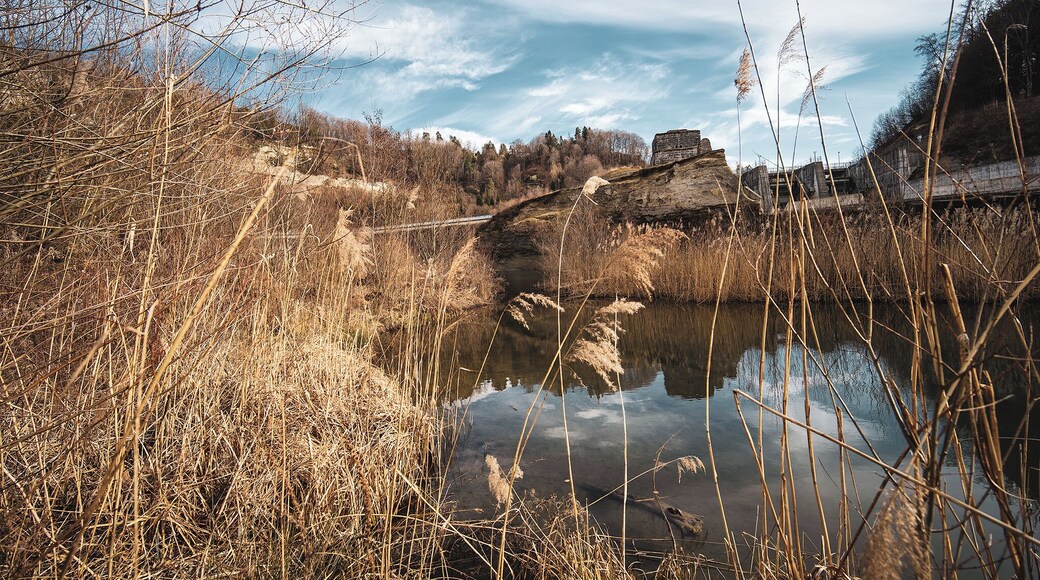 Downtown in Fribourg