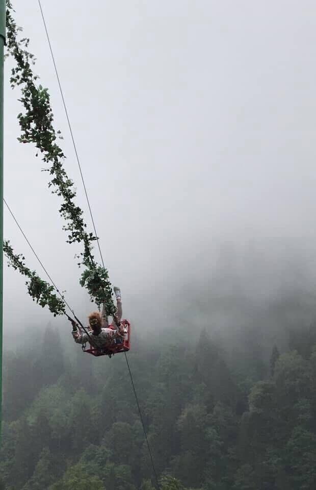 A cable car suspended over a forested area with mist.