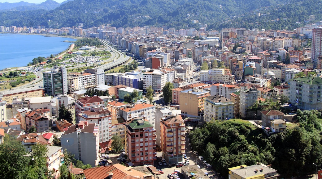 Rize