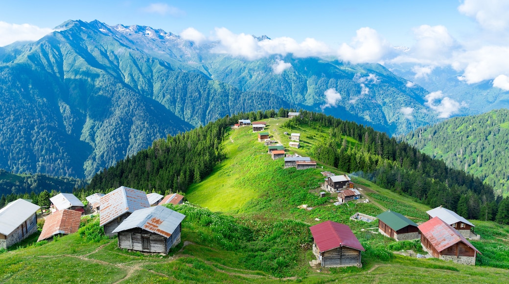 Pokut Plateau Rize Camlihemsin Turkey