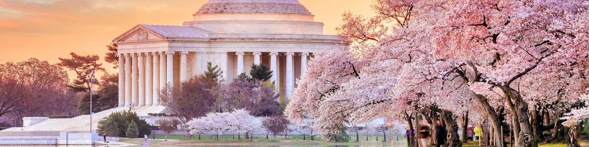Jefferson Memorial during the Cherry Blossom Festival