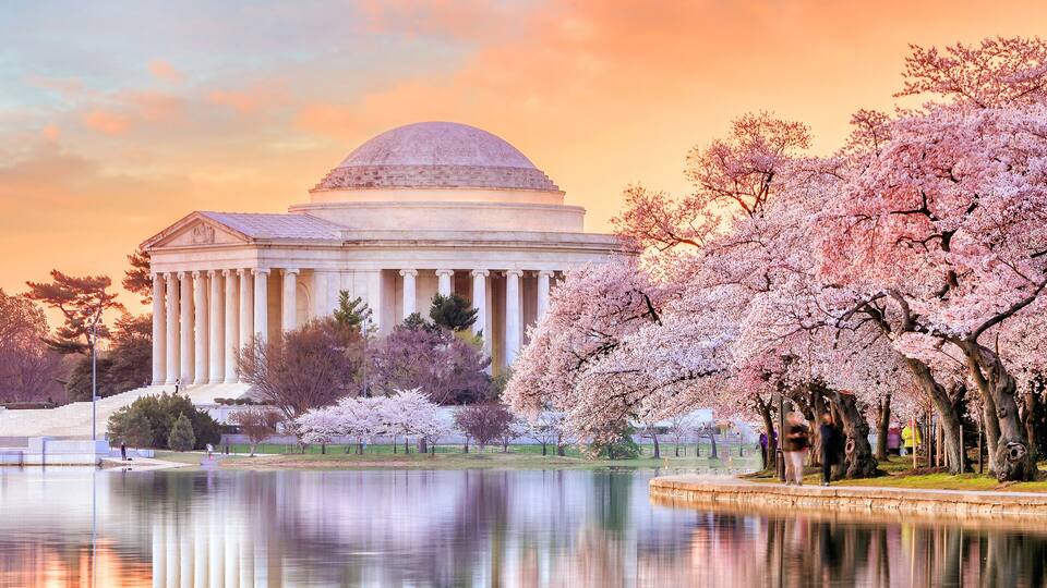 A neoclassical building with a dome and columns, surrounded by a lake and cherry blossom trees.