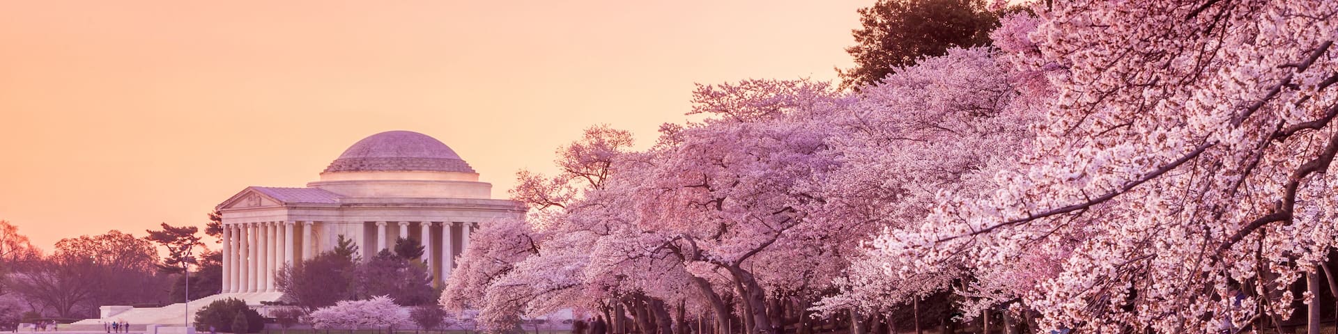 the Jefferson Memorial during the Cherry Blossom Festival