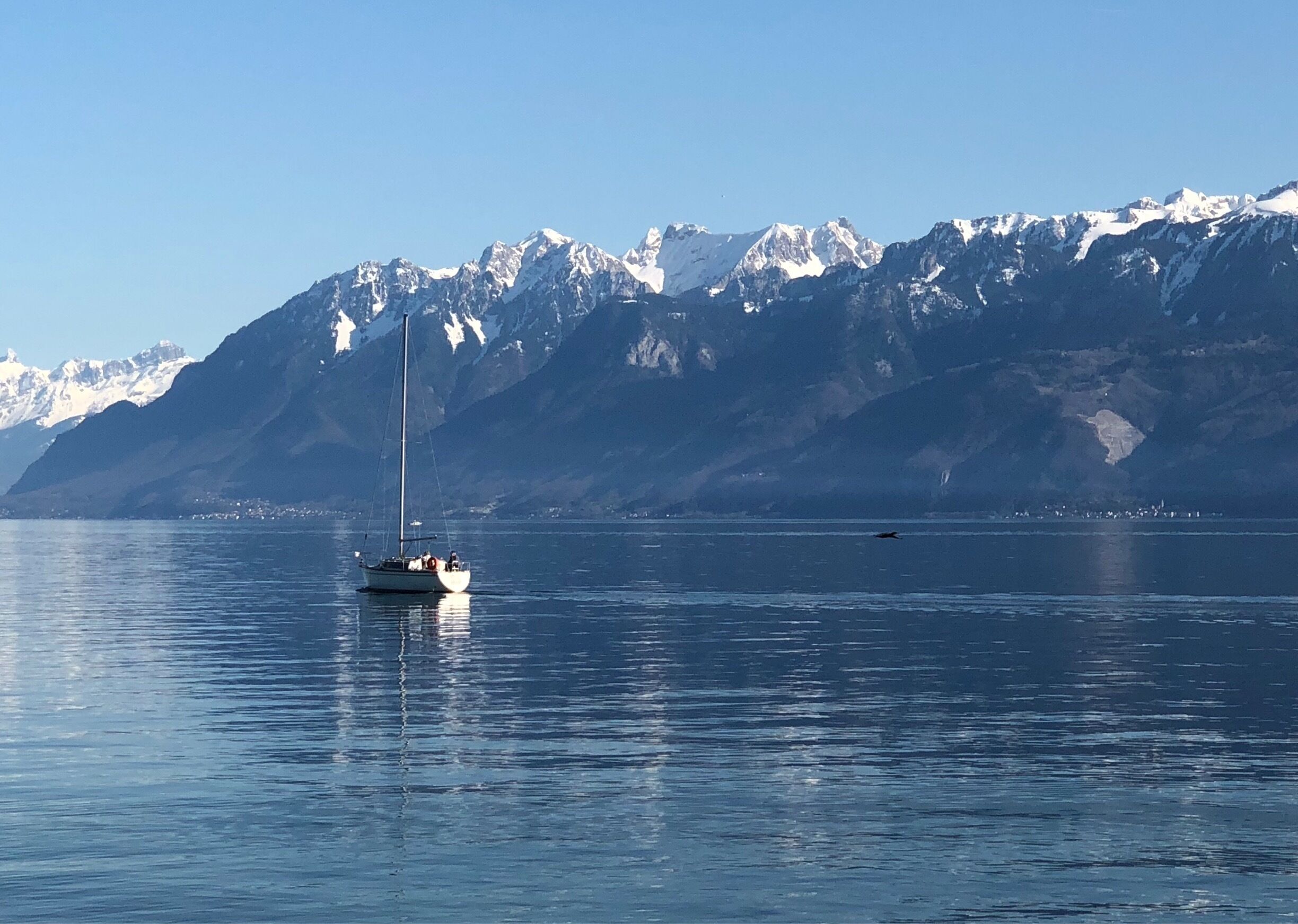 Lonely yacht in lake Geneva