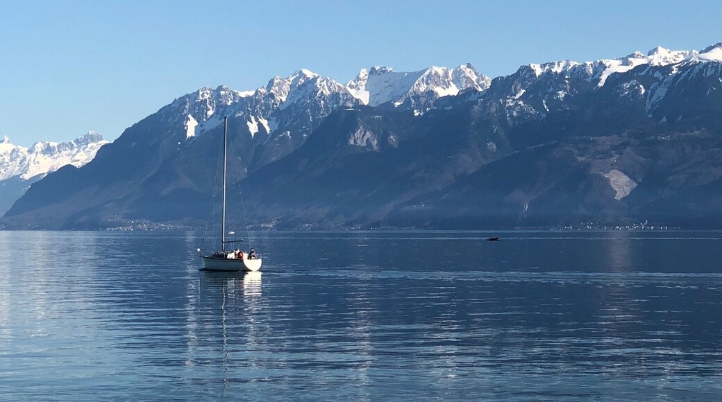 Lonely yacht in lake Geneva