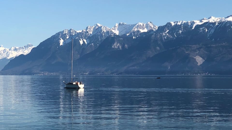Een zeilboot op kalm water, met besneeuwde bergen op de achtergrond.