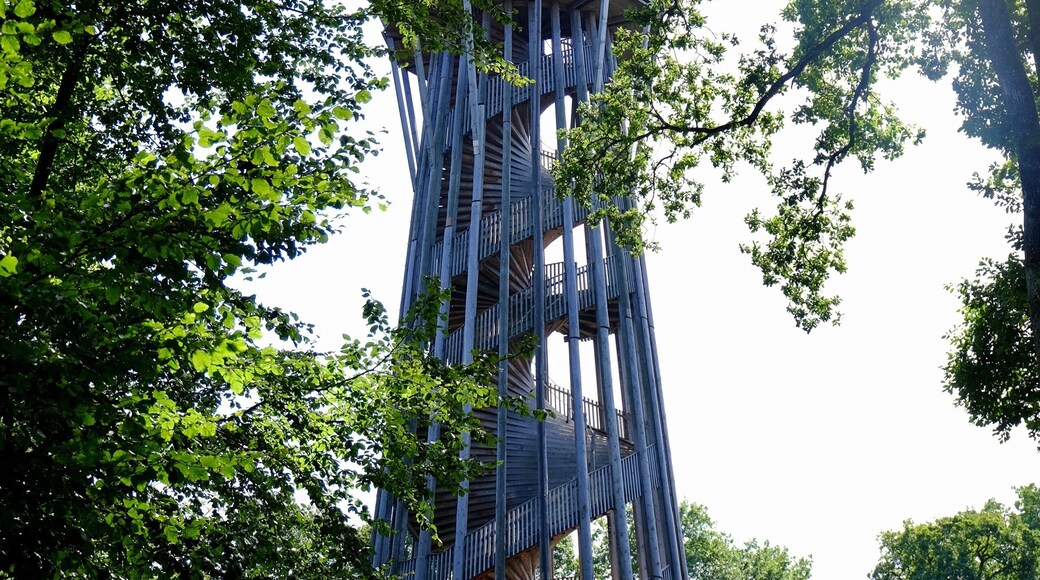 The tower of the Sauvabelin park is overlooking the city of Lausanne. A little 5 minutes stroll in the forest brings you to the tower. Going up to the top brings you at 700m above sea level (or 328m above the Léman level), and you are about 4m higher than if you were at the top of the Eiffel Tower. The view over the city, the lake and the Alps is splendid!