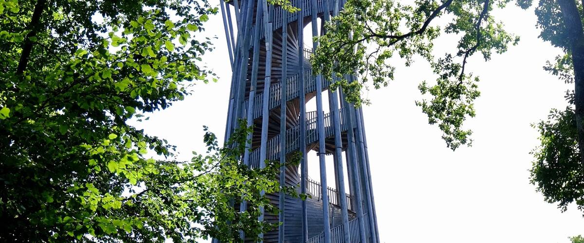 The tower of the Sauvabelin park is overlooking the city of Lausanne. A little 5 minutes stroll in the forest brings you to the tower. Going up to the top brings you at 700m above sea level (or 328m above the Léman level), and you are about 4m higher than if you were at the top of the Eiffel Tower. The view over the city, the lake and the Alps is splendid!