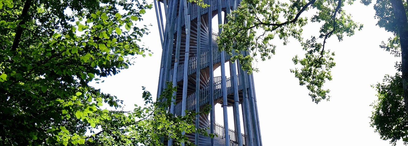 The tower of the Sauvabelin park is overlooking the city of Lausanne. A little 5 minutes stroll in the forest brings you to the tower. Going up to the top brings you at 700m above sea level (or 328m above the Léman level), and you are about 4m higher than if you were at the top of the Eiffel Tower. The view over the city, the lake and the Alps is splendid!