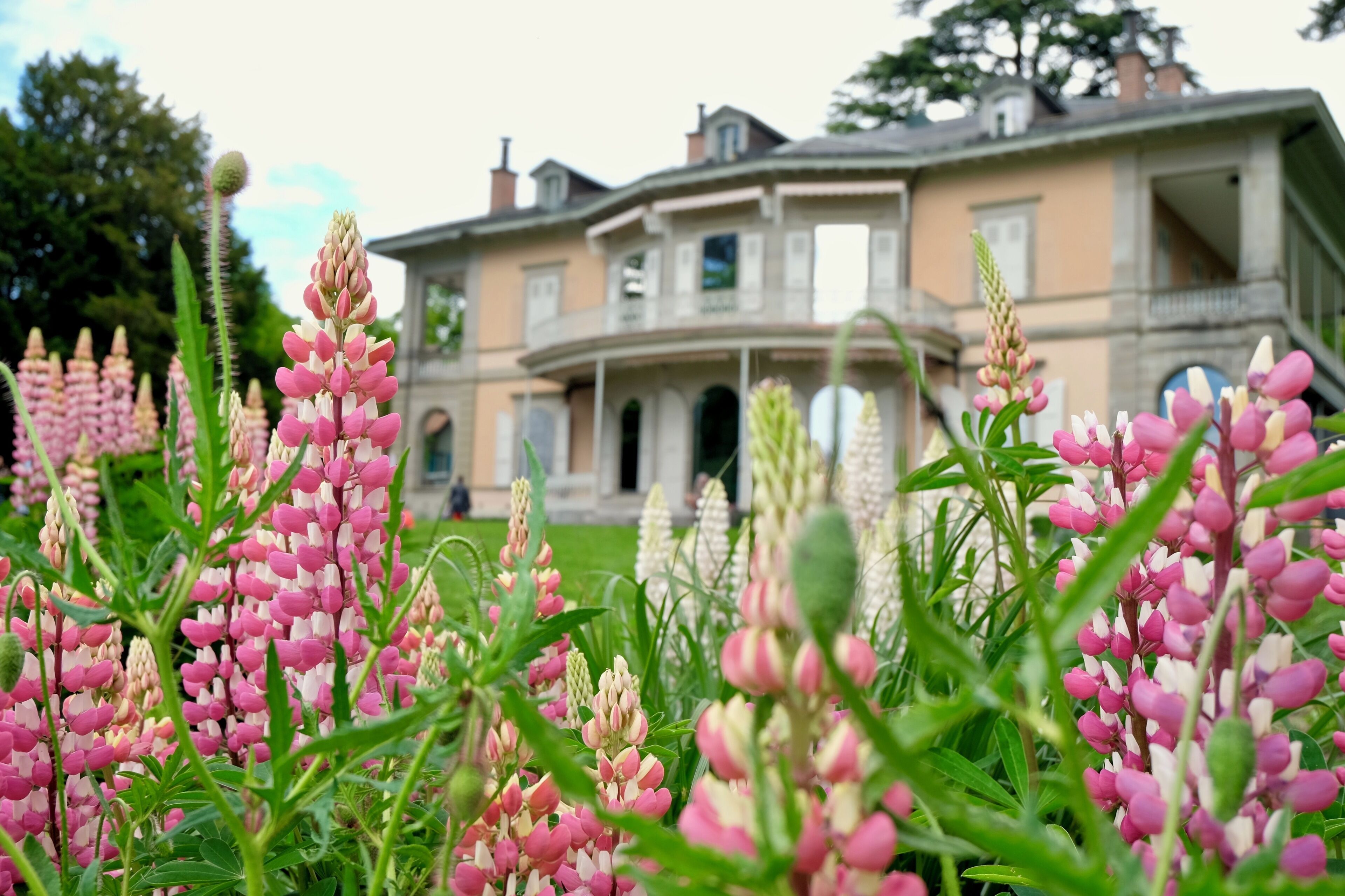 In 1841, the banker Charles-Juste Bugnion bought the land called The Hermitage, on a hill overlooking Lausanne. He had a family mansion built and the magnificent park landscaped with rare species of trees. The villa, with part of the park, was given to the City of Lausanne by the descendants in 1976. The mansion has been carefully restored to its original splendour and has become my favorite museum of fine arts!