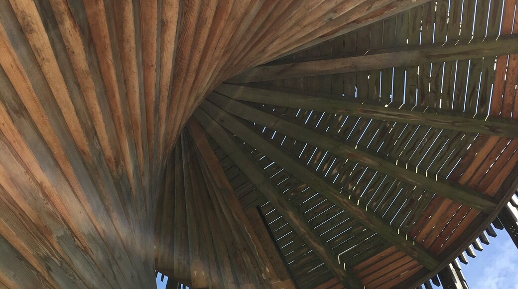 Point de vue / la tour Sauvabelin/ Lausanne, Suisse 🇨🇭