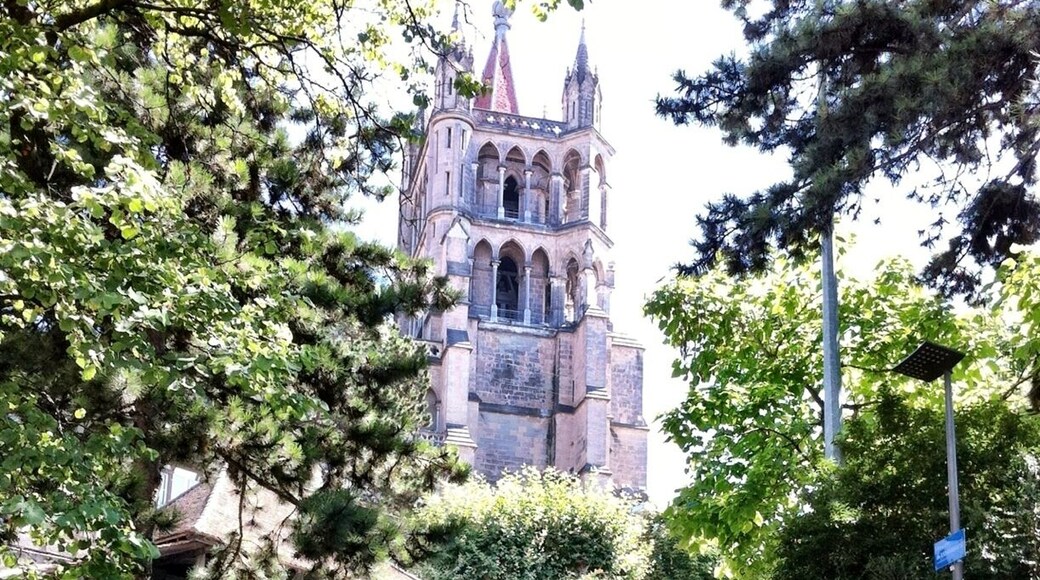 Cathédrale de Lausanne
Attention tout le monde, ça grimpe Lausanne !