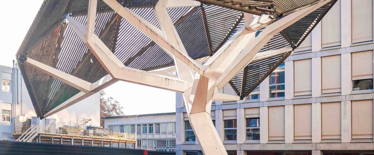 „L‘arbre et des ravines“ (Tree and its roots) sculpture, built in 2007 by Oloom, Olivier Rambert & Samuel Wilkinson. Interestingly, the roots serve as benches ! #architecture