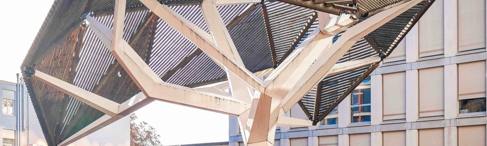 „L‘arbre et des ravines“ (Tree and its roots) sculpture, built in 2007 by Oloom, Olivier Rambert & Samuel Wilkinson. Interestingly, the roots serve as benches ! #architecture