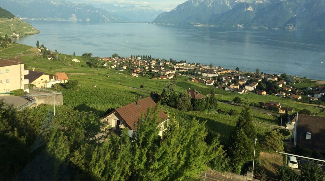 I was offered this breathtaking view while on the train from Zurich to Lausanne. A few minutes before arriving, I saw these beautiful vines on the hill above Lac Leman. A great spot to take a walk, hike and do some wine tastings with Swiss cheese. #WeekendGetaway #Waterlust