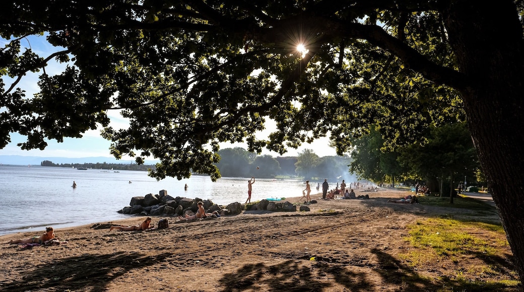 Vidy beach, on Lake Geneva, is located just minutes from downtown Lausanne. All services are nearby, from BBQ spots to beach volleyball, basketball etc. There’s also an adjacent campground and a youth hostel is about a 5min walk.
Very relaxing atmosphere. #beachtips #LikeALocal