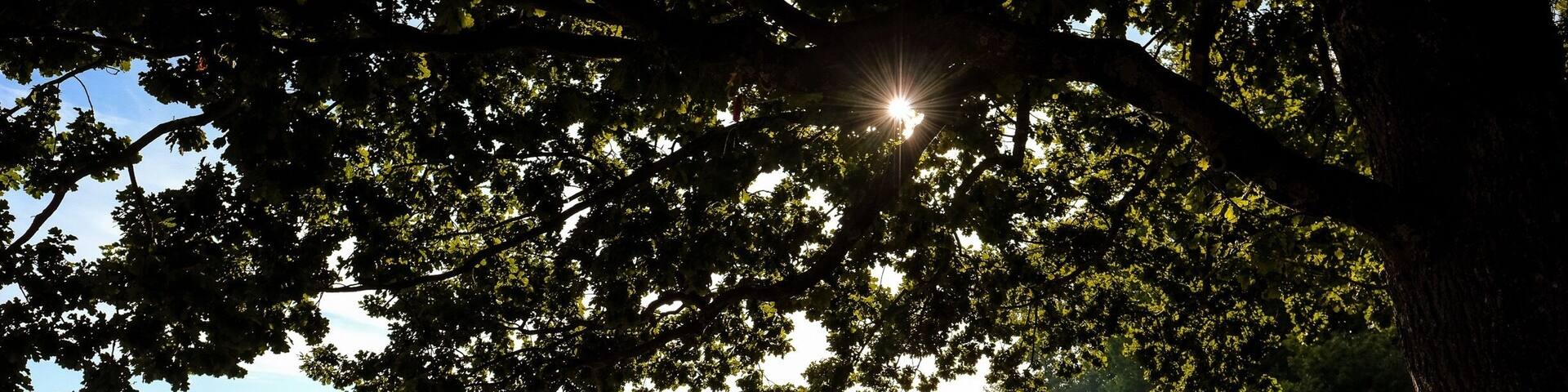 Vidy beach, on Lake Geneva, is located just minutes from downtown Lausanne. All services are nearby, from BBQ spots to beach volleyball, basketball etc. There’s also an adjacent campground and a youth hostel is about a 5min walk.
Very relaxing atmosphere. #beachtips #LikeALocal