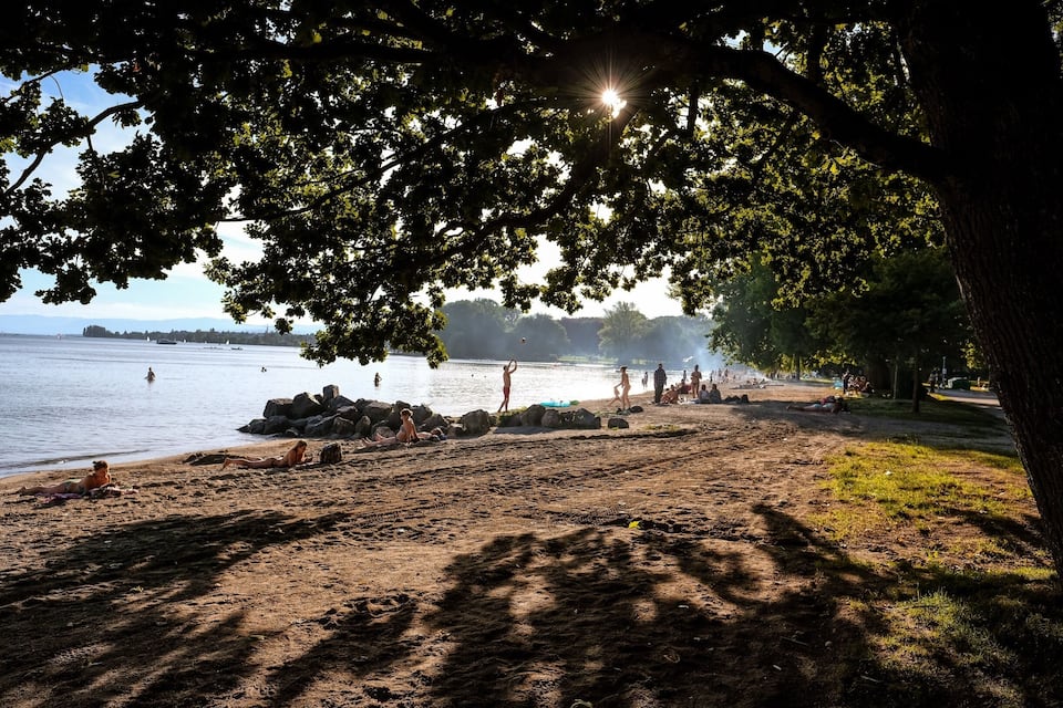 Ein Strand mit badenden und sonnenbäudelnden Personen, umgeben von Bäumen und einem Gewässer.