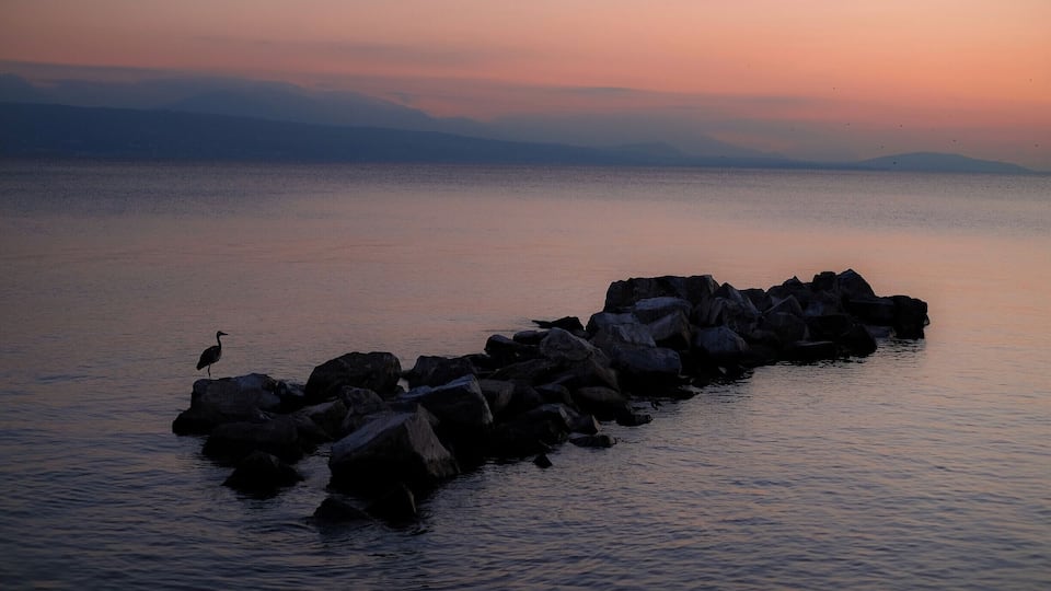 For the sunset views