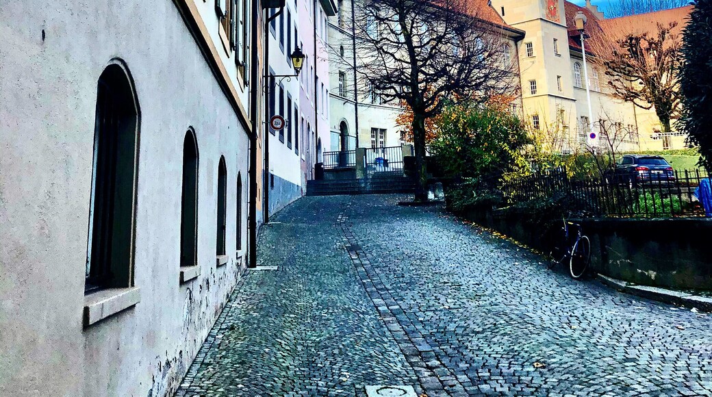 Charming Lausanne.
#architecture #trovember