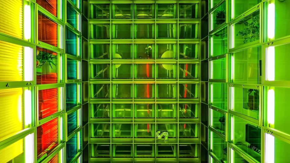 Great modern architecture.