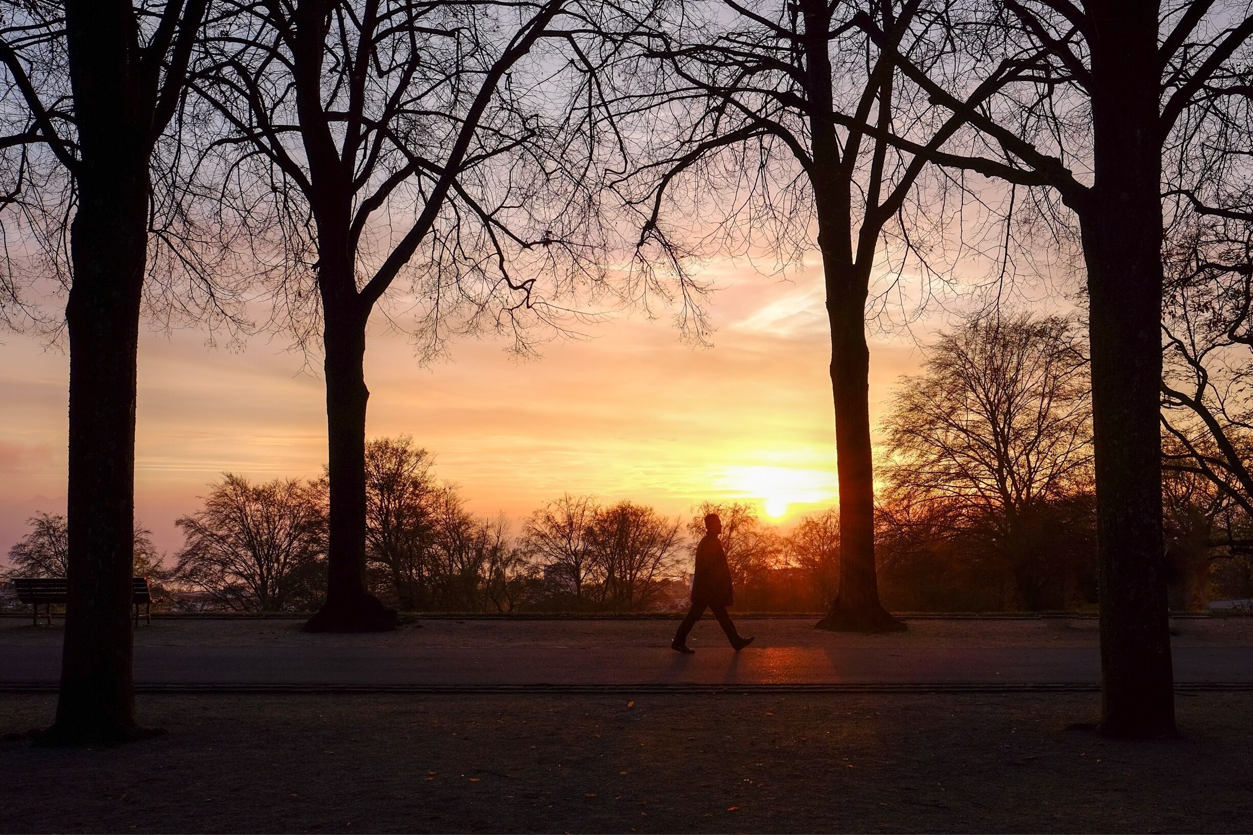 Great park overlooking the Léman