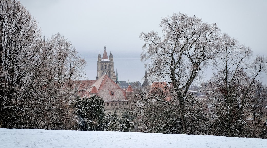 The Lausanne Cathedral was built over many years, starting in 1160. It is still today standing tall with a watchman up it's tower telling the passersby the time of night, and watching the city. You can even get a meeting with him if you want! The vista from the tower is amazing, at any time of day. And if you are lucky, you can even get a special evening when the Cathedral is lit up with thousands of candles... simply magical! #MyBackyard