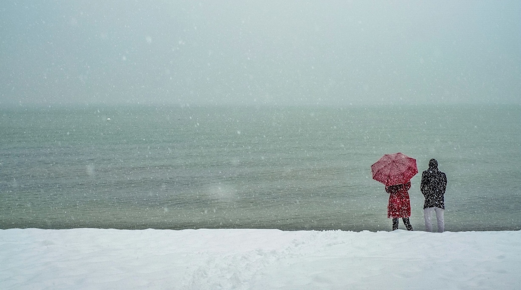 Saint-Sulpice lakeshore during the snow