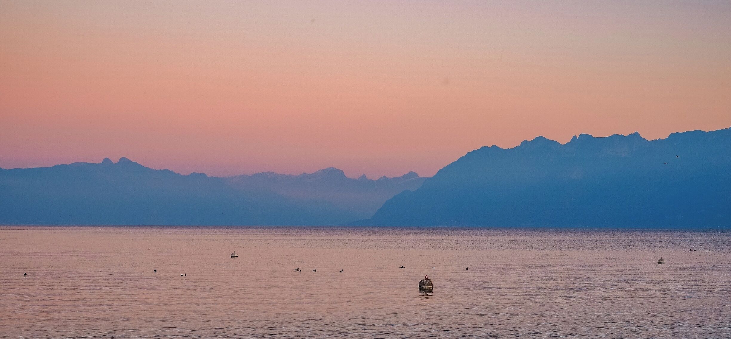 Léman sunset view #mountains