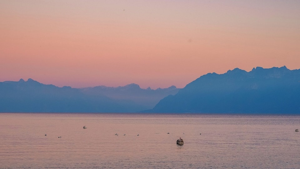 Léman sunset view #mountains