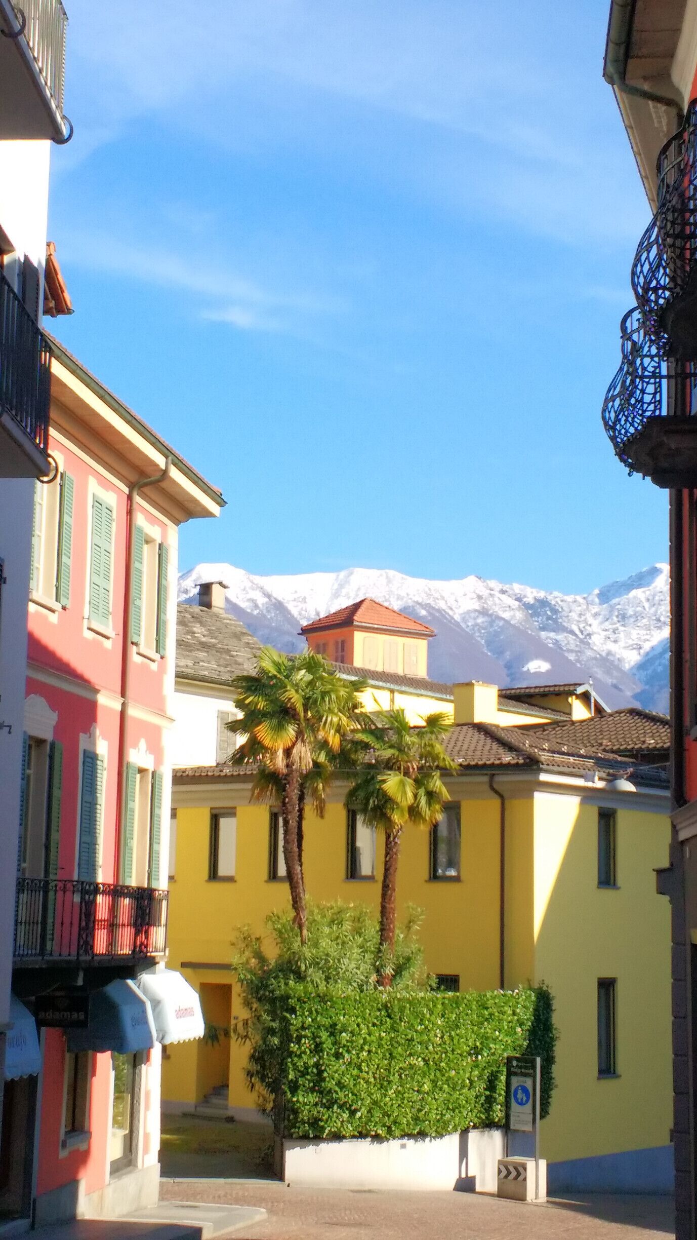 A street with colorful buildings, a palm tree, and snow-capped mountains in the background.