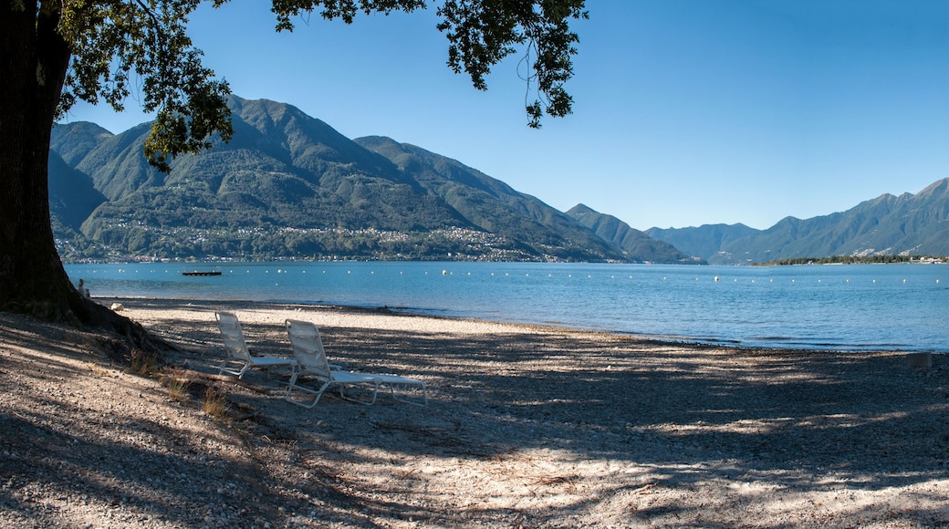 แอสโคนา