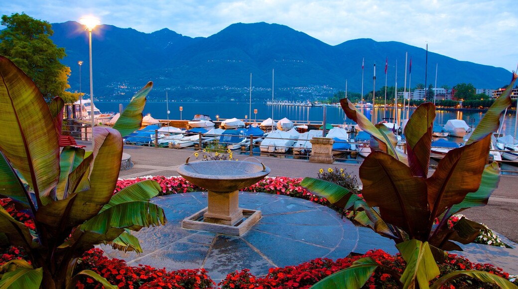 Locarno featuring a bay or harbor, a fountain and flowers