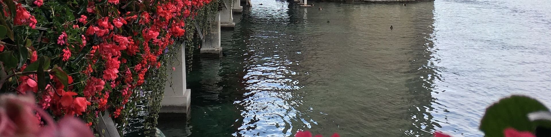 Lucerne, Oct 14, 2019