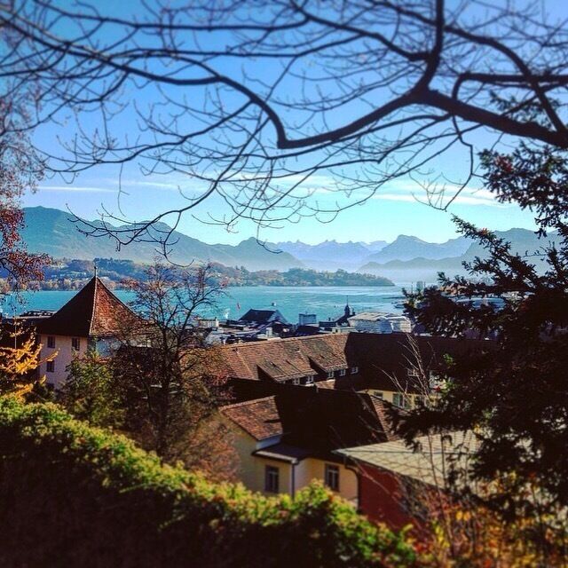 Looking out over Lucerne from one of the towers on the medieval wall. One of the most beautiful views I've ever seen.
#bestof5
#takeahike
#mountains
