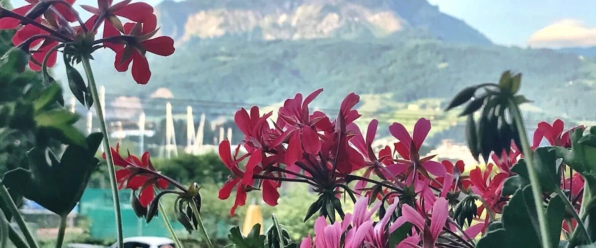 The mountain of the dragons. Mt Pilatus #Mountains