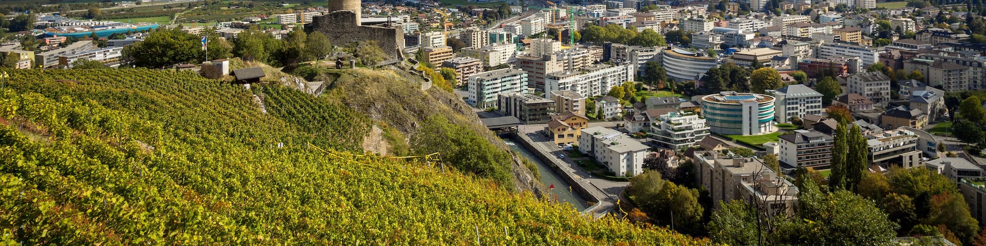 A city nestled between mountains, with a prominent tower and vineyards.
