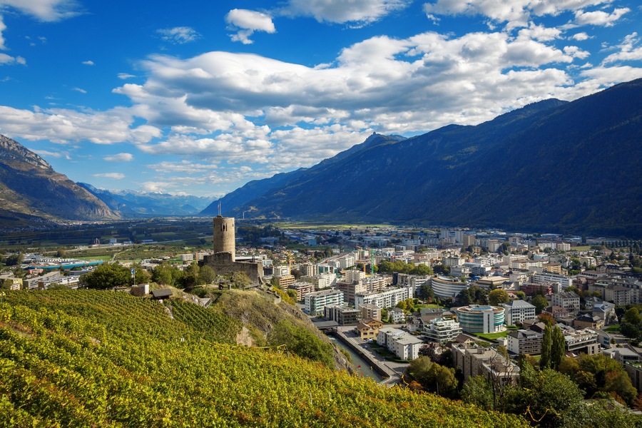 A city nestled between mountains, with a prominent tower and vineyards.