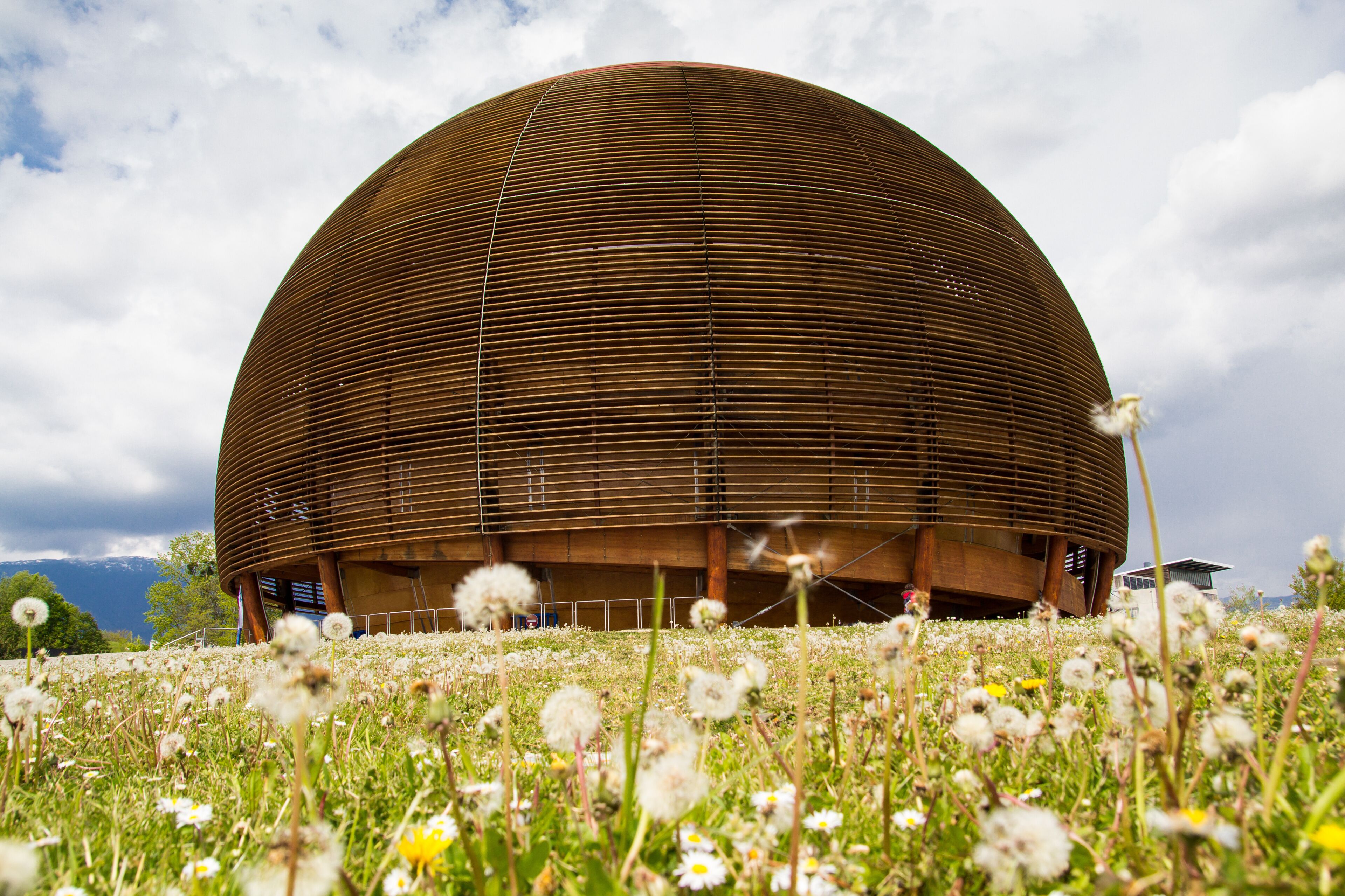 A large wooden dome structure surrounded by a field of wildflowers.