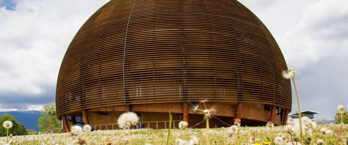 A large wooden dome structure surrounded by a field of wildflowers.
