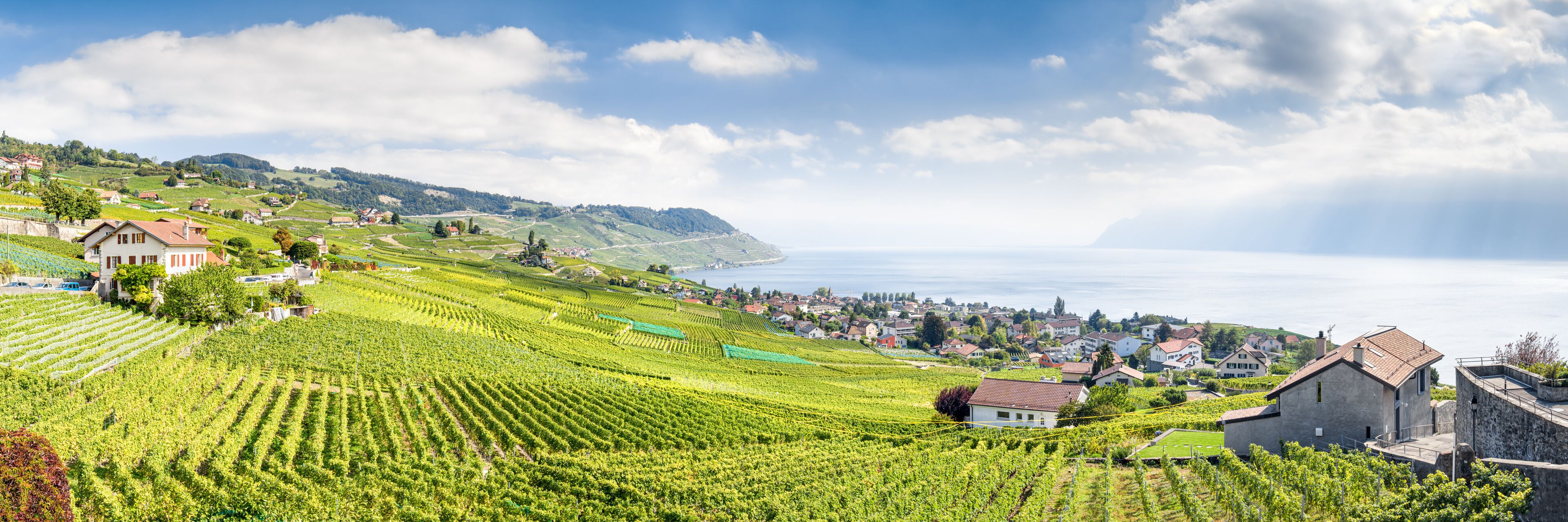 The Lavaux Vineyard Terraces, stretching for about 30 km along the south-facing northern shores of Lake Geneva from the Chateau de Chillon to the eastern outskirts of Lausanne in the Vaud region.