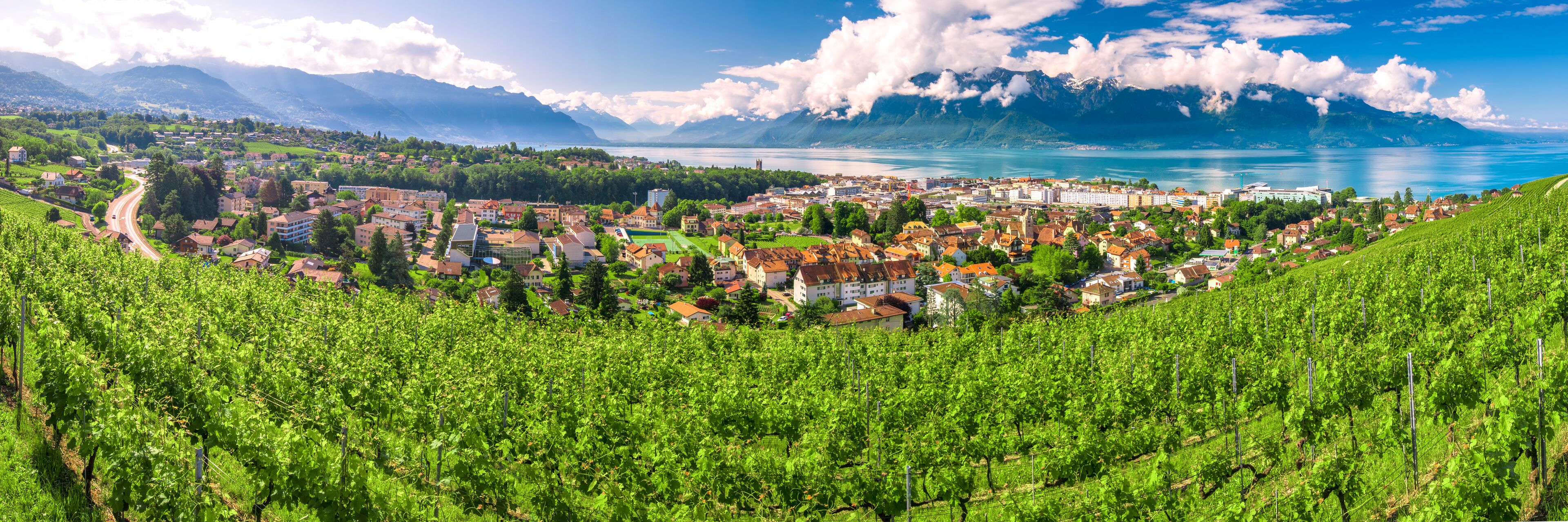A town with vineyards, a lake, and mountains in the background.