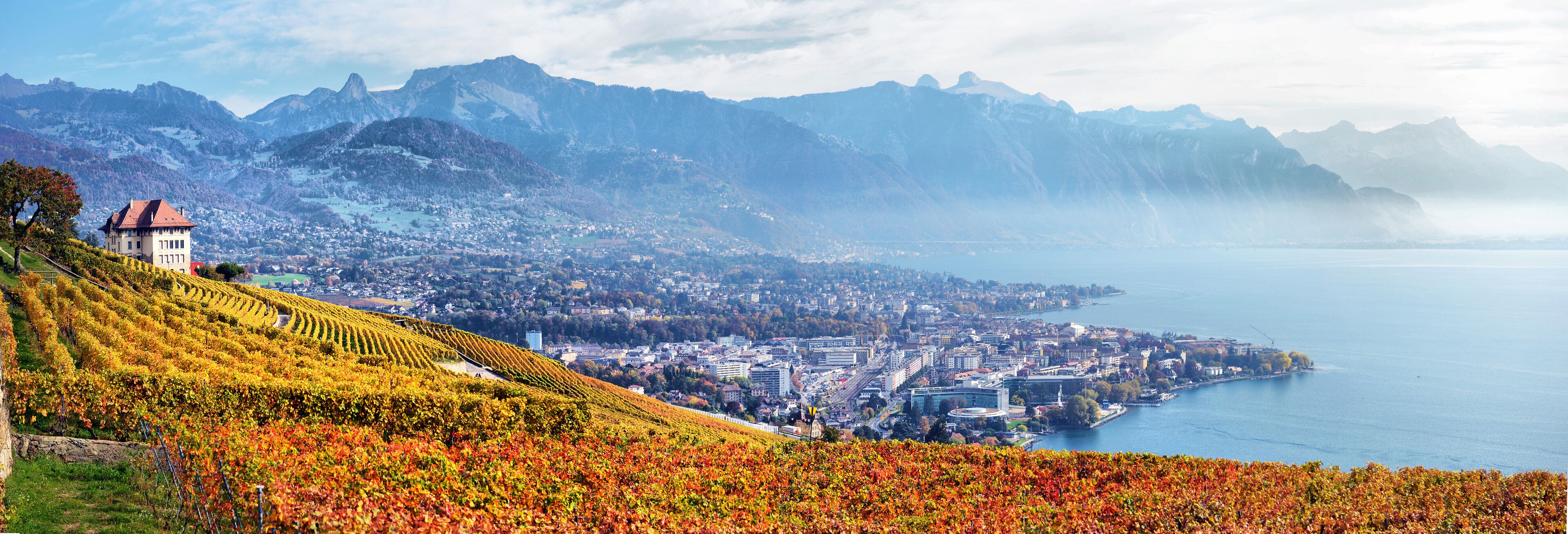  View on Lavaux region by autumn day, Vaud, Switzerland