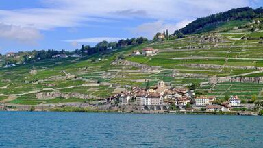 A lakeside town with terraced vineyards and a prominent church on a hill.