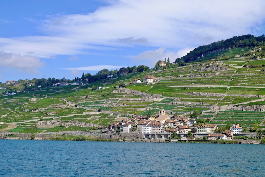 An impromptu cruise from Vevey to Lausanne gave us amazing views on the Lavaux vineyards, one of the Unesco Heritage Sites. On the picture, we see the little village of Saint-Saphorin, nestled between the Lac Léman and the vineyards.