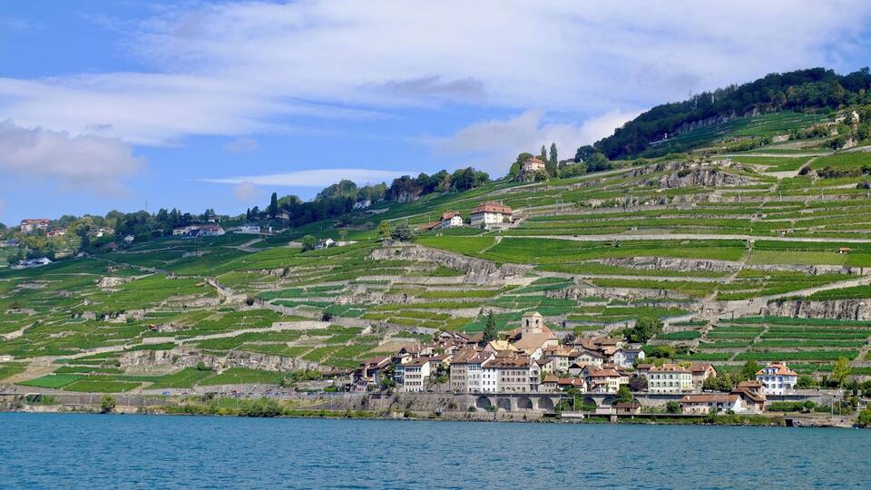 A lakeside town with terraced vineyards and a prominent church on a hill.