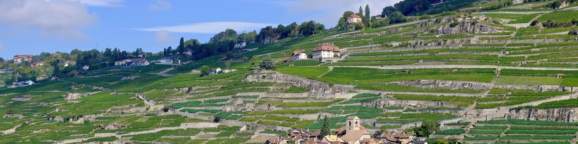 An impromptu cruise from Vevey to Lausanne gave us amazing views on the Lavaux vineyards, one of the Unesco Heritage Sites. On the picture, we see the little village of Saint-Saphorin, nestled between the Lac Léman and the vineyards.