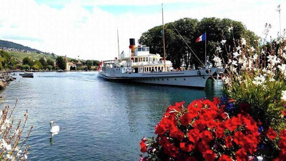 A riverboat with a flag, surrounded by water and flowers.